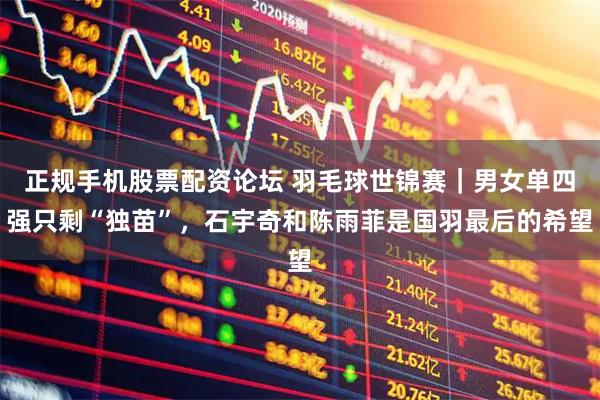正规手机股票配资论坛 羽毛球世锦赛｜男女单四强只剩“独苗”，石宇奇和陈雨菲是国羽最后的希望