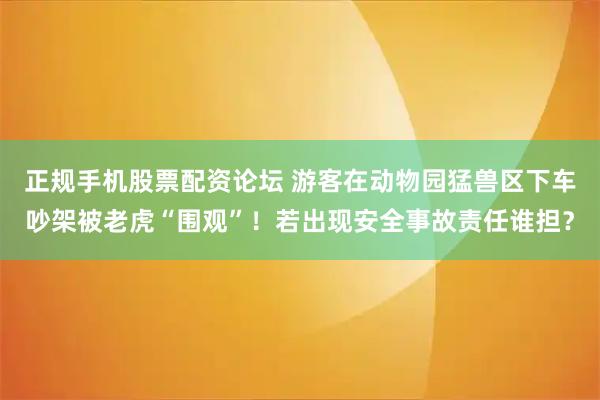 正规手机股票配资论坛 游客在动物园猛兽区下车吵架被老虎“围观”！若出现安全事故责任谁担？