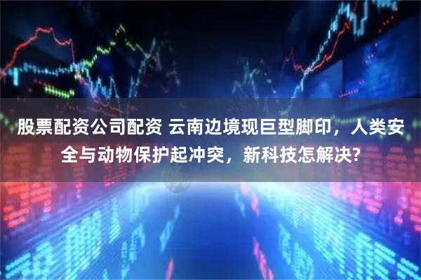 股票配资公司配资 云南边境现巨型脚印，人类安全与动物保护起冲突，新科技怎解决?