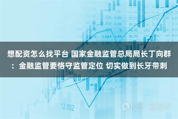 想配资怎么找平台 国家金融监管总局局长丁向群：金融监管要恪守监管定位 切实做到长牙带刺